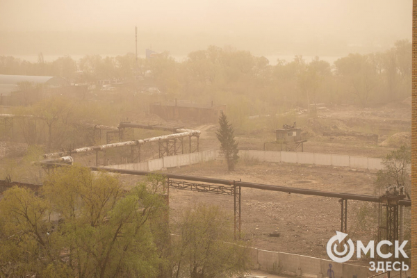Пыльная буря и остановившиеся пароходы: последствия омской непогоды Пыльная буря и остановившиеся пароходы: последствия омской непогоды