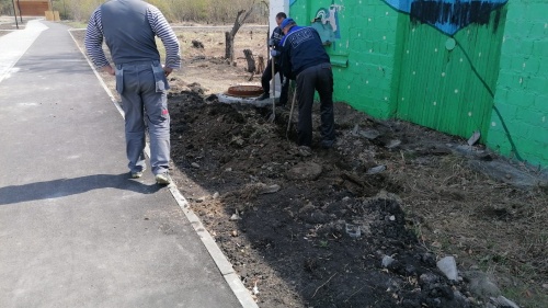 Калачинская «движуха» или что ждет «парк мечты» Мецлера? Калачинская «движуха» или что ждет «парк мечты» Мецлера?