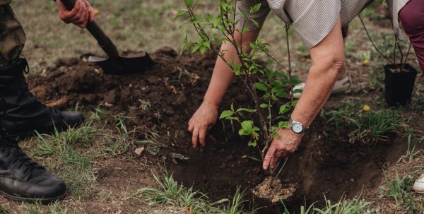 Омичи создают город, в котором хочется остаться