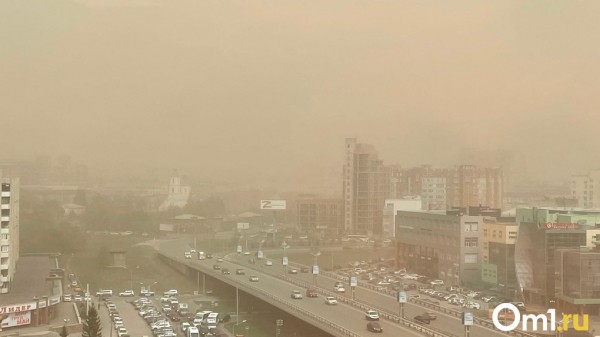 Вырванные деревья, остановки и опоры ЛЭП. В омской мэрии рассказали о страшных последствиях шторма