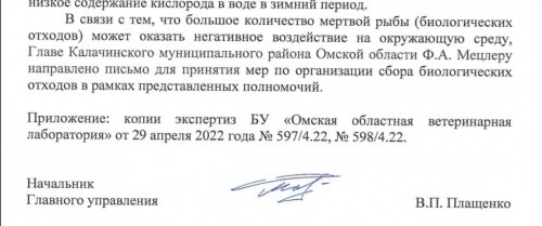 Калачинская «движуха» или что ждет «парк мечты» Мецлера? Калачинская «движуха» или что ждет «парк мечты» Мецлера?