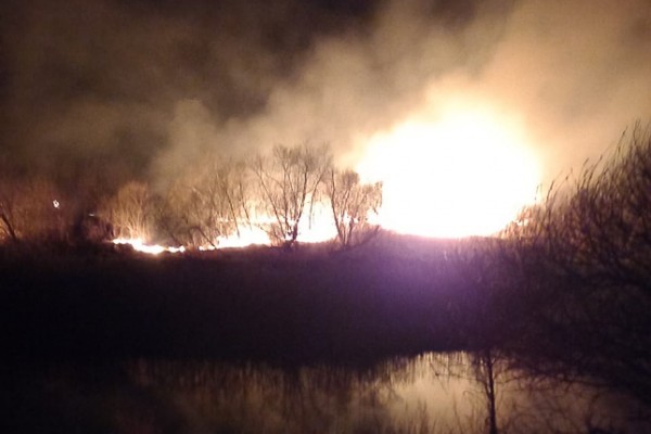 
									Пожар угрожает еще одной деревне в Омской области   [ФОТО]  