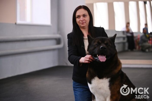 Кинодром, выставочный ринг и помывочная. В Омске появилось новое пространство для собак