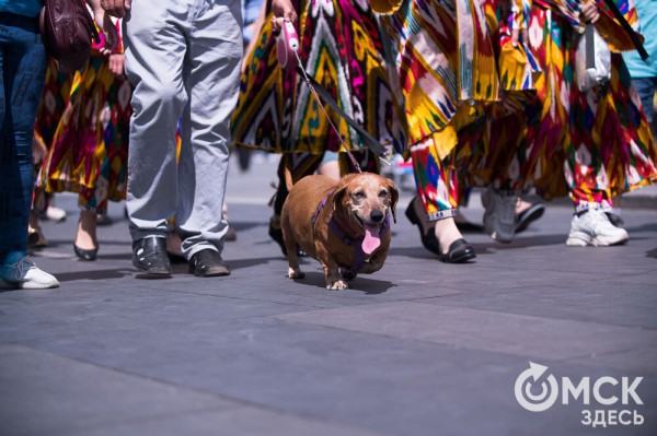В центре Омска прошёл Парад национальностей