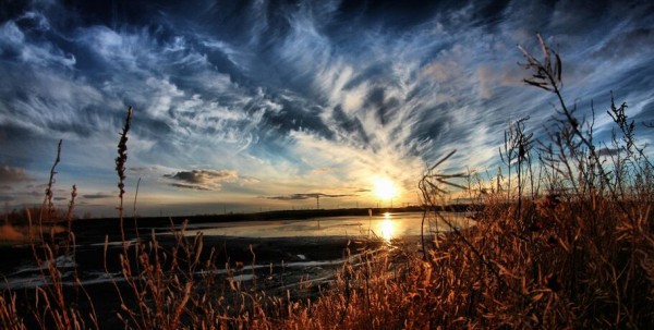 Самые маленькие жители Омска отправятся на край Солнечной системы