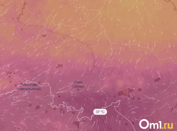 Адское пекло до +37: в Омской области воздух прогреется до критических отметок