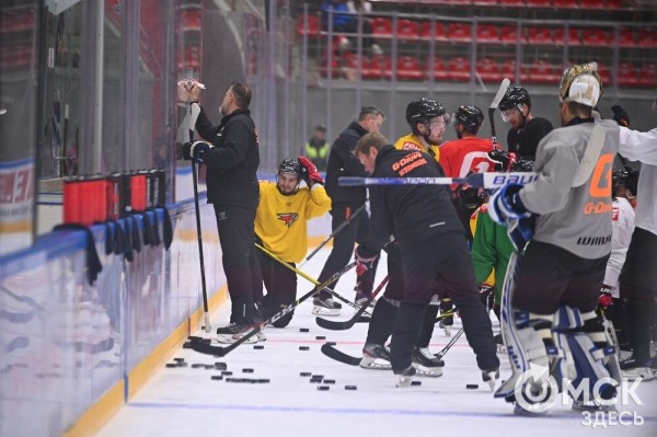 Птичка летит домой! Репетиция возвращения "Авангарда" в Омск