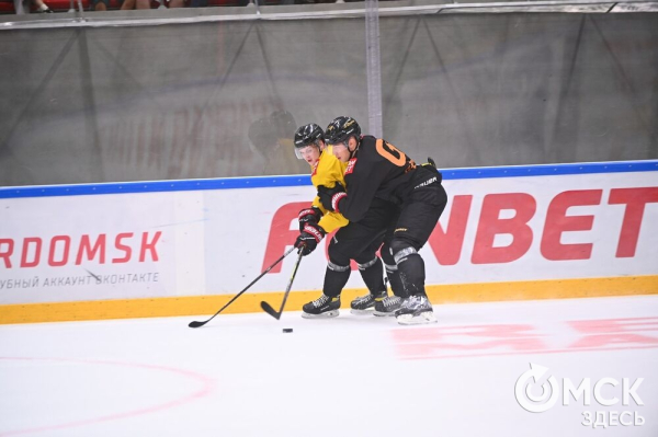 Птичка летит домой! Репетиция возвращения "Авангарда" в Омск