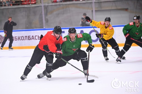 Птичка летит домой! Репетиция возвращения "Авангарда" в Омск