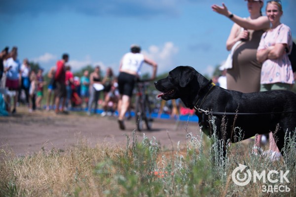 Красивые, сильные, быстрые. Как в Омске прошёл триатлон