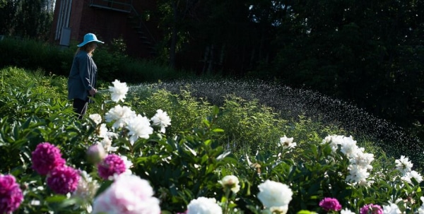 Выходные омичей пройдут при 30-градусной жаре