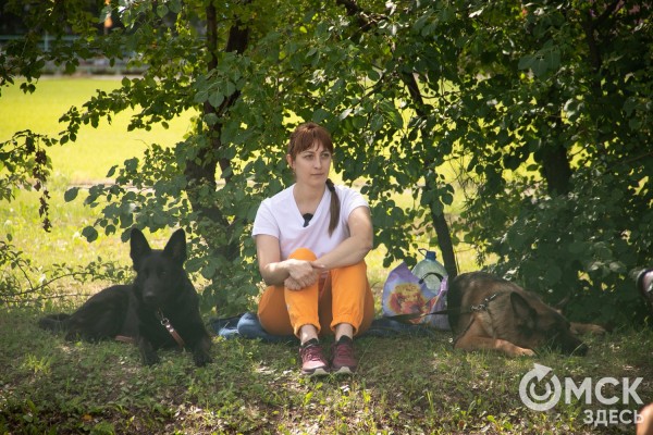 От чихуахуа до немецкой овчарки. Как в Омске прошли соревнования по аджилити