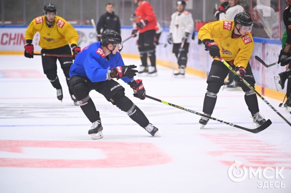 Птичка летит домой! Репетиция возвращения "Авангарда" в Омск