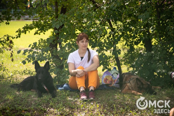 От чихуахуа до немецкой овчарки. Как в Омске прошли соревнования по аджилити