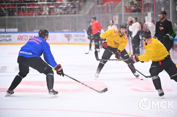 Птичка летит домой! Репетиция возвращения "Авангарда" в Омск