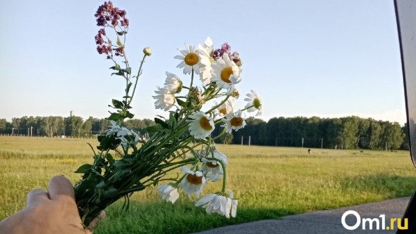 Адское пекло до +37: в Омской области воздух прогреется до критических отметок