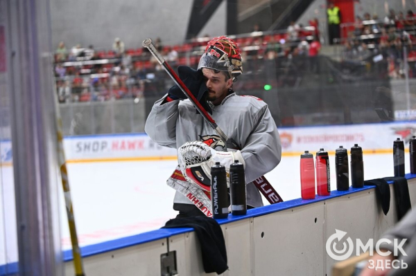 Птичка летит домой! Репетиция возвращения "Авангарда" в Омск