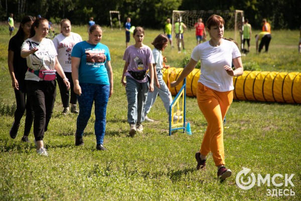 От чихуахуа до немецкой овчарки. Как в Омске прошли соревнования по аджилити