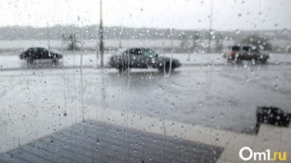Омскую область накроет мощный циклон из Казахстана, который принесёт ледяные ливни и осенний холод Омскую область накроет мощный циклон из Казахстана, который принесёт ледяные ливни и осенний холод
