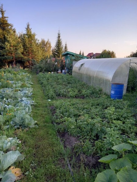 Гамак против лопаты - вечный спор дачников