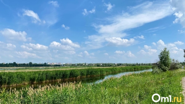 Гроза, жара и туман. Синоптики рассказали, какую погоду ждать омичам на выходных
