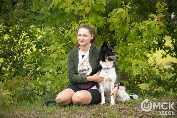 От чихуахуа до немецкой овчарки. Как в Омске прошли соревнования по аджилити