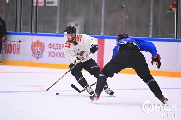 Птичка летит домой! Репетиция возвращения "Авангарда" в Омск