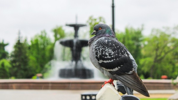 Невыносимая жара, штормовой ветер, грозы и град: омские синоптики рассказали о новых сюрпризах погоды Невыносимая жара, штормовой ветер, грозы и град: омские синоптики рассказали о новых сюрпризах погоды