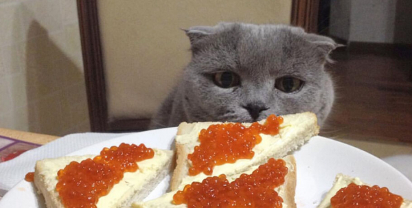 Что съесть, чтобы стать счастливее?