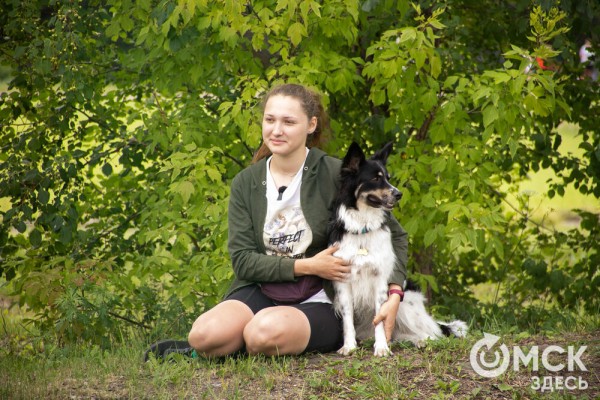 От чихуахуа до немецкой овчарки. Как в Омске прошли соревнования по аджилити