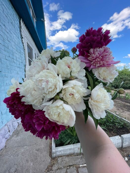 Гамак против лопаты - вечный спор дачников