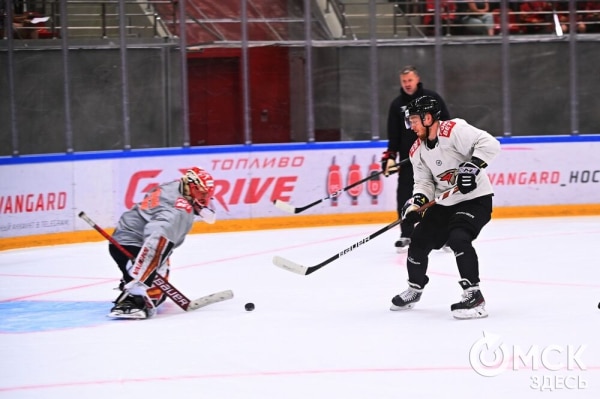 Птичка летит домой! Репетиция возвращения "Авангарда" в Омск
