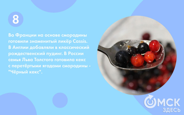 Смородина: какую выбрать и почему она так полезна Смородина: какую выбрать и почему она так полезна