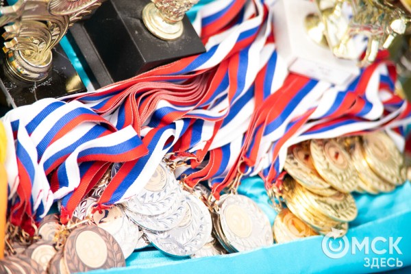 От чихуахуа до немецкой овчарки. Как в Омске прошли соревнования по аджилити