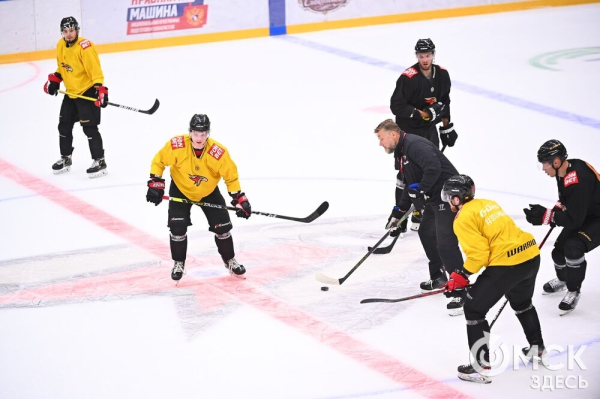 Птичка летит домой! Репетиция возвращения "Авангарда" в Омск