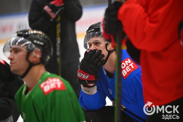 Птичка летит домой! Репетиция возвращения "Авангарда" в Омск