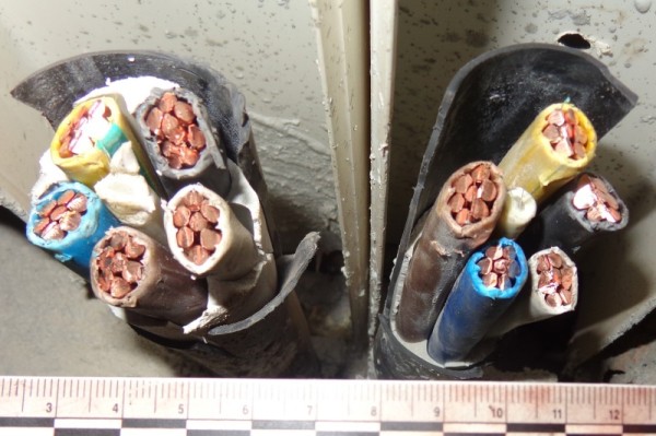 
									При ремонте Омского ТЮЗа вынесли кабеля на 150 тысяч   [ФОТО]  