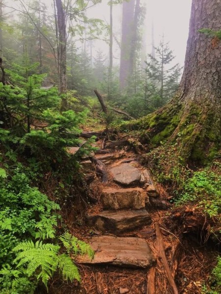 "Пусть приставка эко станет больше, чем пиаром". Студентка из Омска прошла стажировку на Байкале