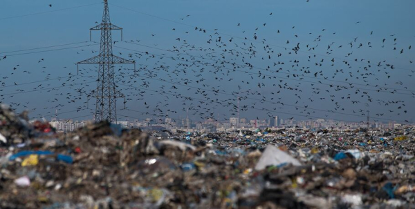 7 фактов об омском мусоросортировочном заводе