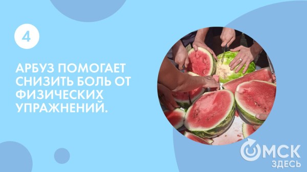 Пятьсот граммов священной ягоды в день - отмечаем День арбуза Пятьсот граммов священной ягоды в день - отмечаем День арбуза
