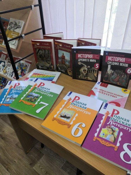 
									На учебники для омских школьников потратили более 355 млн 