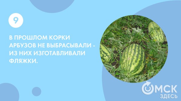 Пятьсот граммов священной ягоды в день - отмечаем День арбуза Пятьсот граммов священной ягоды в день - отмечаем День арбуза