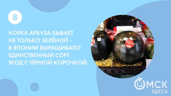 Пятьсот граммов священной ягоды в день - отмечаем День арбуза Пятьсот граммов священной ягоды в день - отмечаем День арбуза