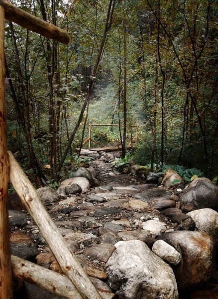"Пусть приставка эко станет больше, чем пиаром". Студентка из Омска прошла стажировку на Байкале