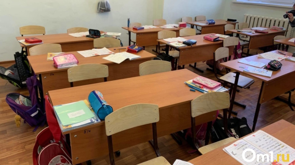 Вирусолог заявил о вынужденном введении дистанционного обучения из-за коронавируса