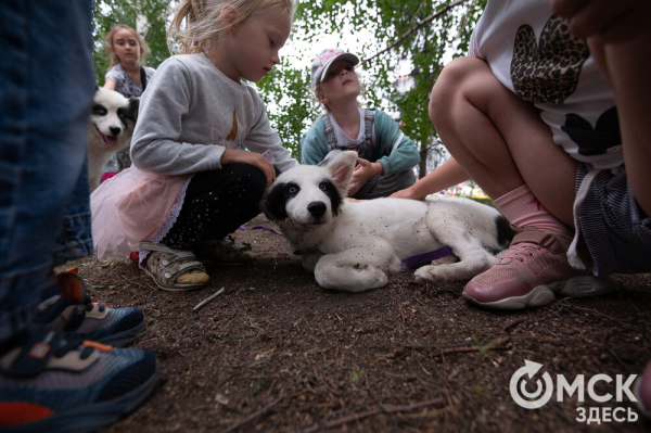 От йоги до драки: смотрим, как в Омске прошёл третий "Штормfest"