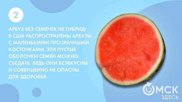 Пятьсот граммов священной ягоды в день - отмечаем День арбуза Пятьсот граммов священной ягоды в день - отмечаем День арбуза