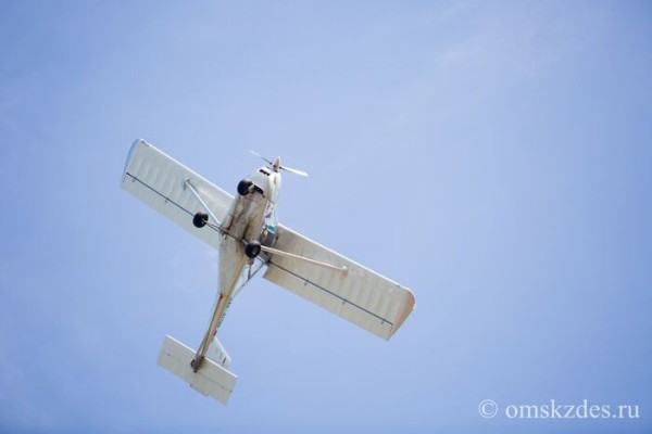 "День ввс", "еврейский праздник любви ту бе-ав" и "игра cult of the lamb". Что ищут омичи в интернете 12 августа