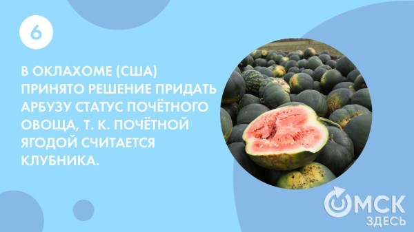 Пятьсот граммов священной ягоды в день - отмечаем День арбуза Пятьсот граммов священной ягоды в день - отмечаем День арбуза