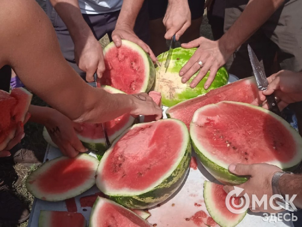 Пятьсот граммов священной ягоды в день - отмечаем День арбуза Пятьсот граммов священной ягоды в день - отмечаем День арбуза